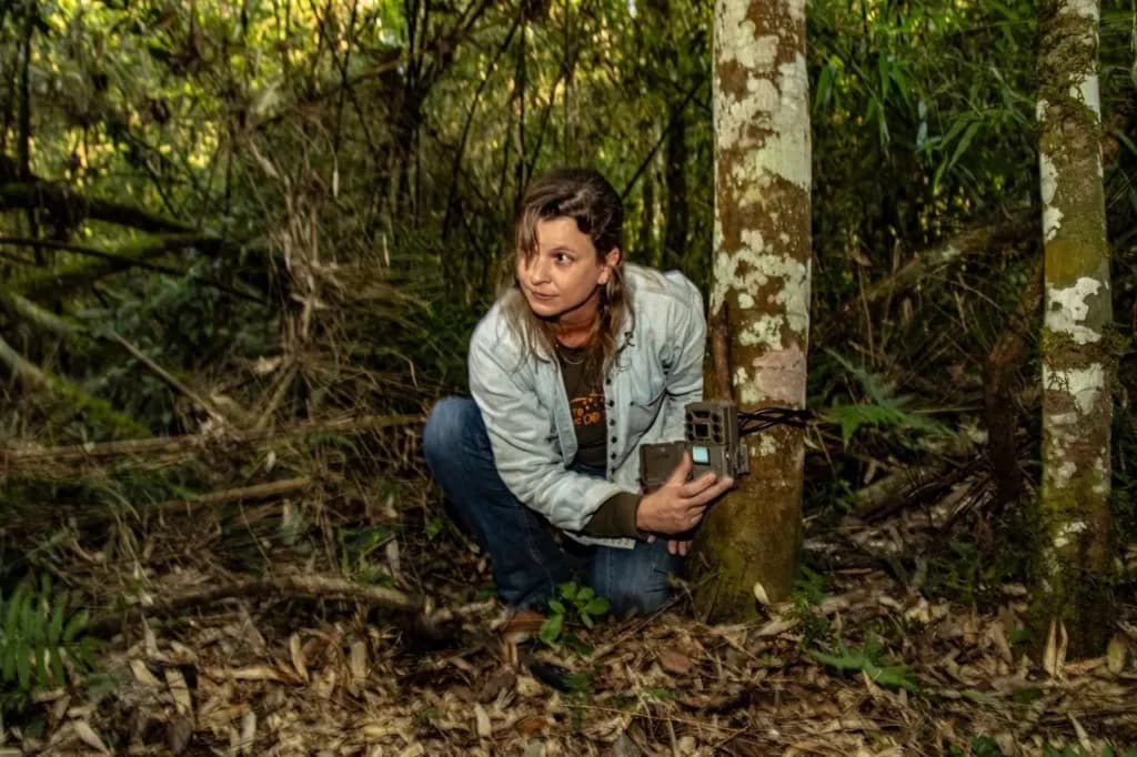 Instalação de Armadilha fotográfica
