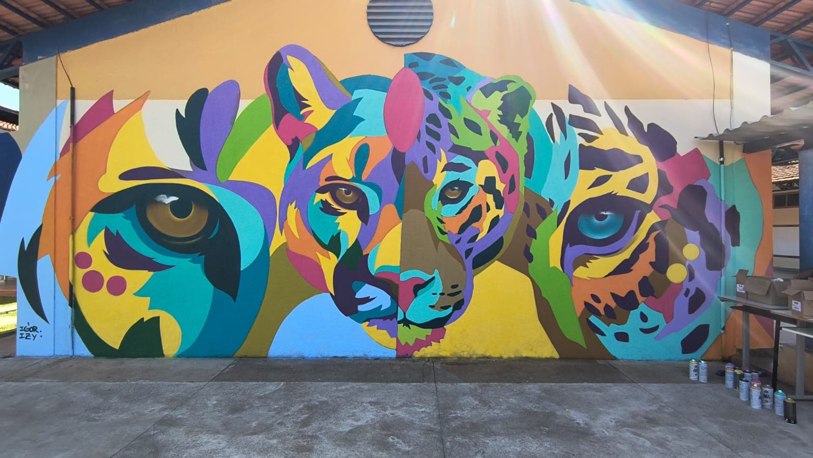 Onça Grafiteira