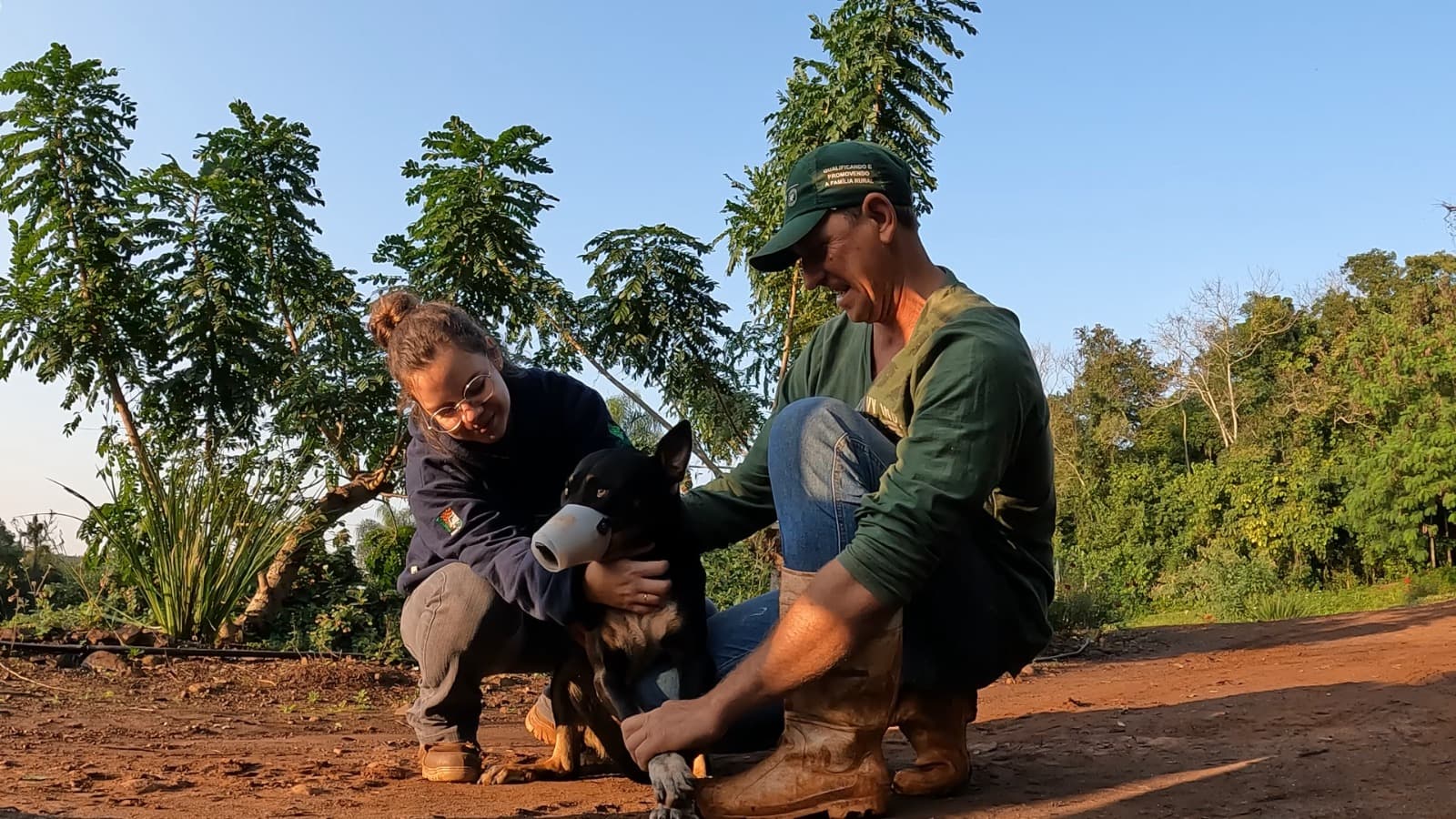 Programa Cãoservação