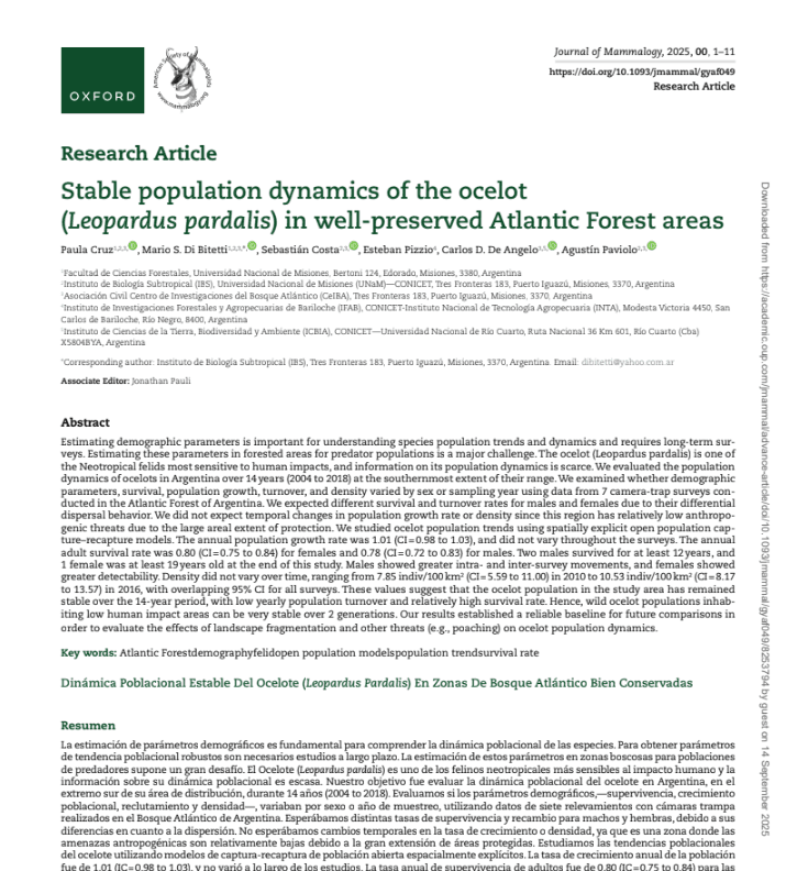 Stable population dynamics of the ocelot (Leopardus pardalis) in well-preserved Atlantic Forest areas