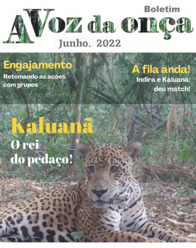 Boletim A Voz da Onça - Julho 2022