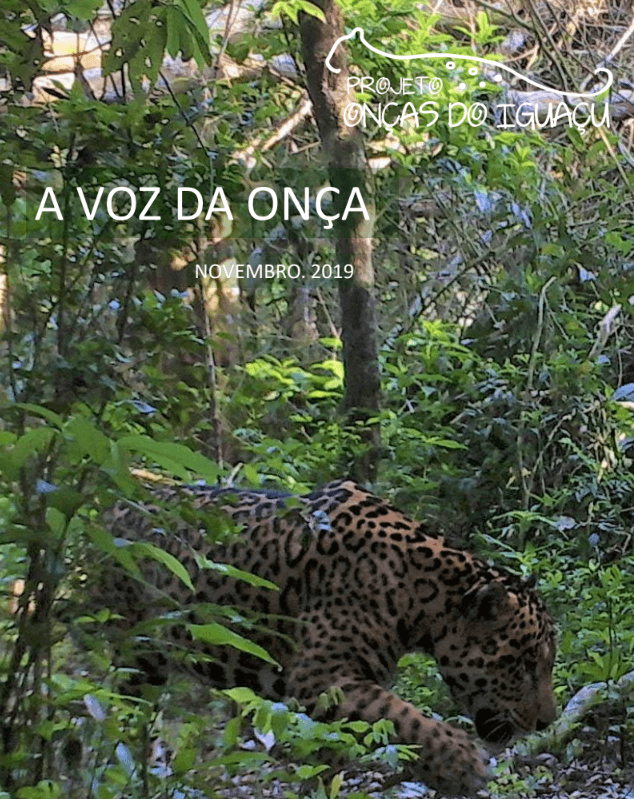 Boletim A Voz da Onça - Novembro 2019