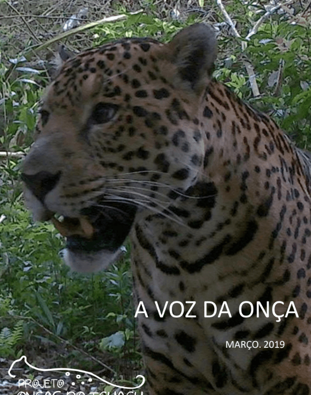 Boletim A Voz da Onça - Março 2019