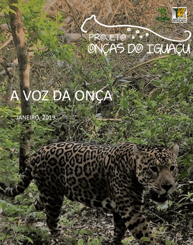 Boletim A Voz da Onça - Janeiro 2019