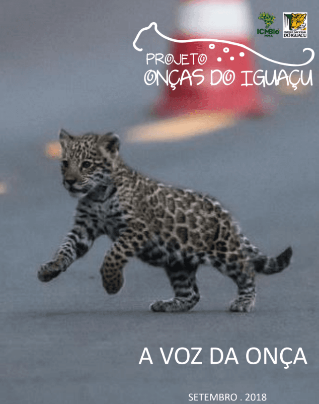 Boletim A Voz da Onça - Setembro 2018