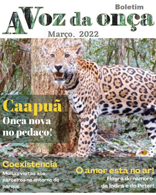 Boletim A Voz da Onça - Março 2022
