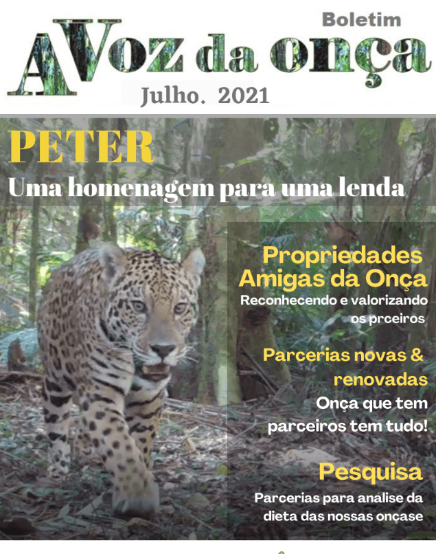 Boletim A Voz da Onça - Julho 2021