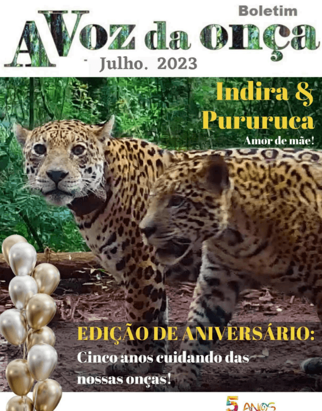 Boletim A Voz da Onça - Julho 2023