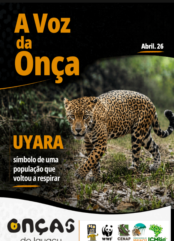Boletim A Voz da Onça - Abril 2026