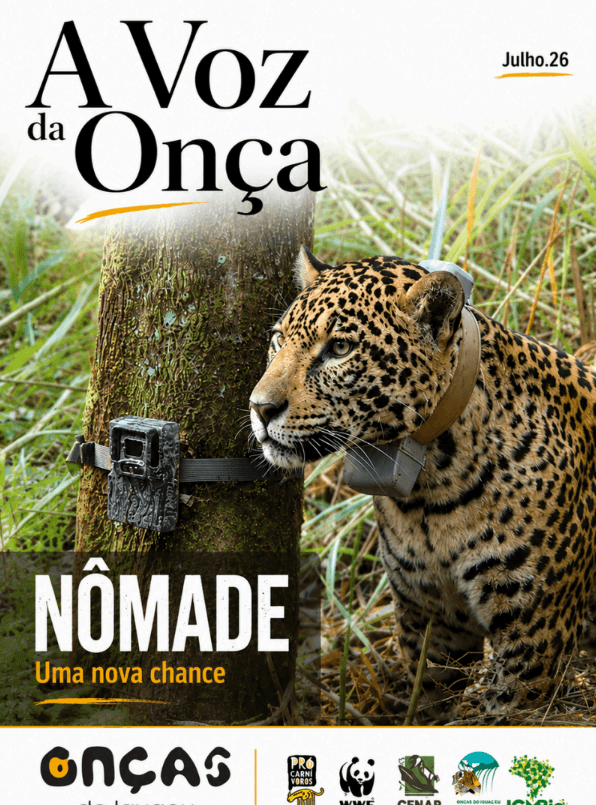 Boletim A Voz da Onça - Julho 2026