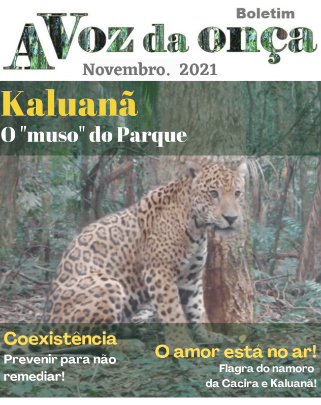 Boletim A Voz da Onça - Novembro 2021