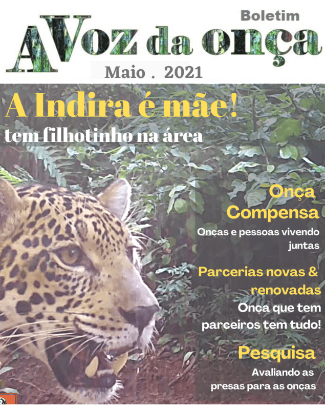 Boletim A Voz da Onça - Maio 2021