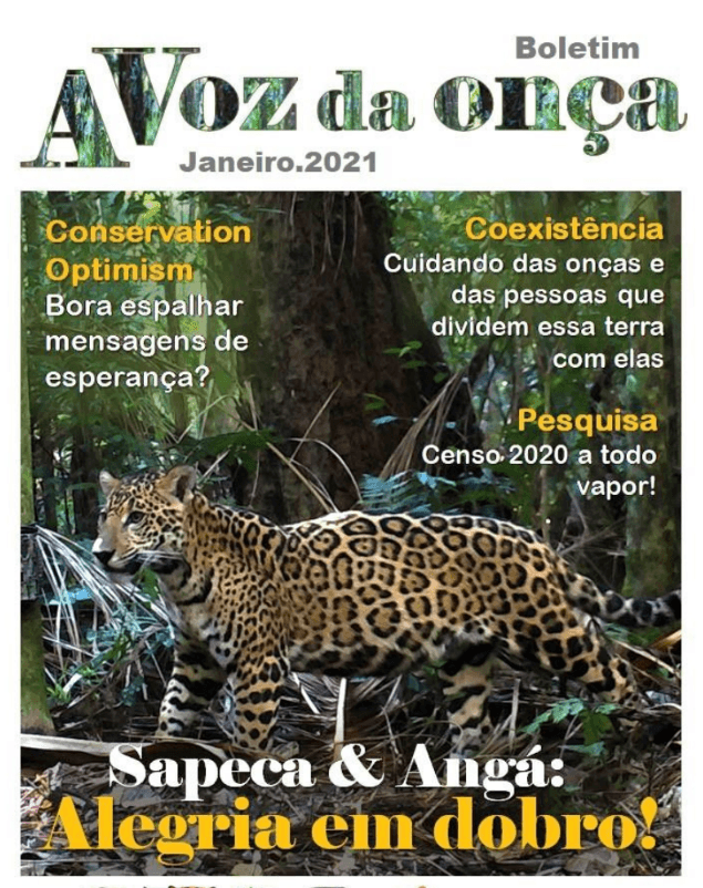 Boletim A Voz da Onça - Janeiro 2021