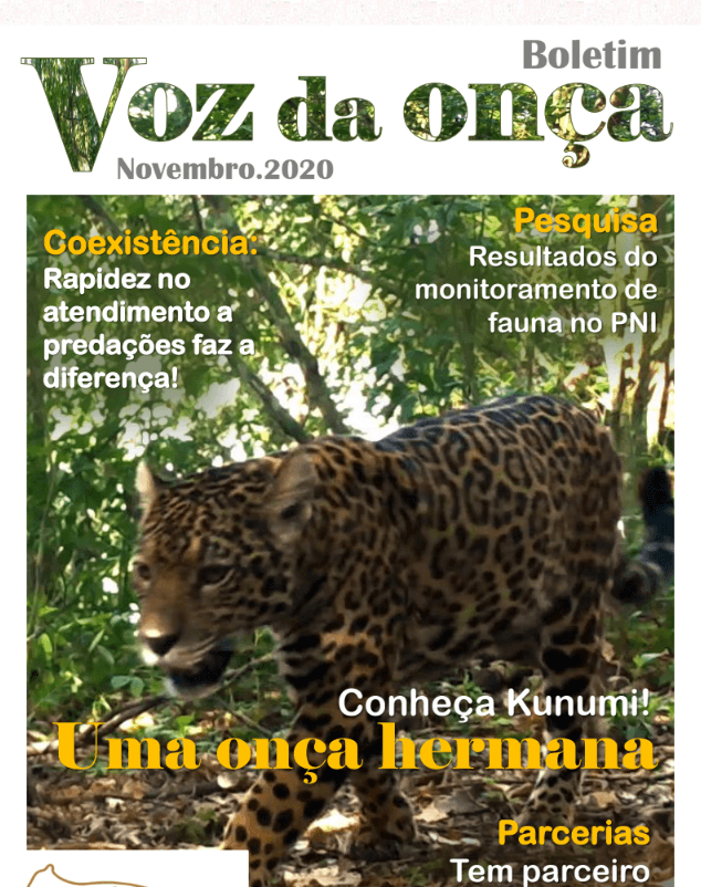 Boletim A Voz da Onça - Novembro 2020