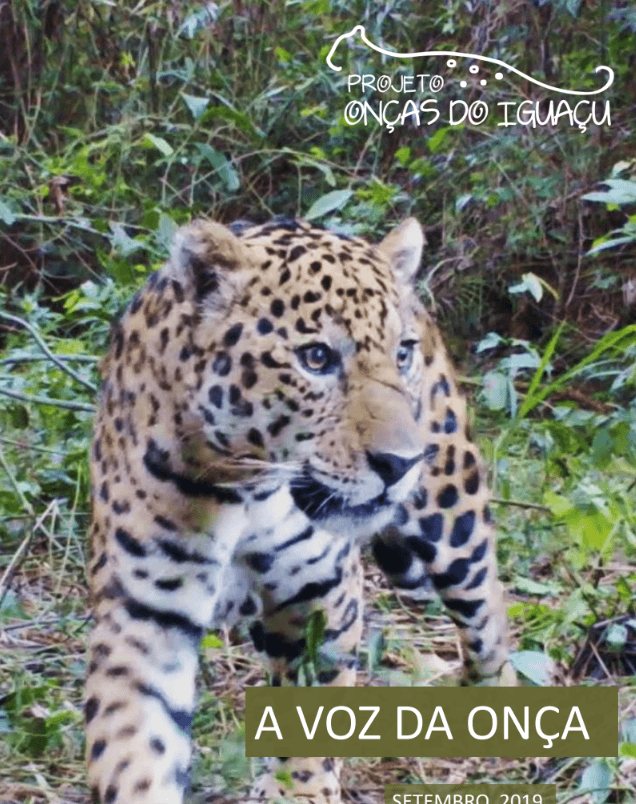 Boletim A Voz da Onça - Setembro 2020
