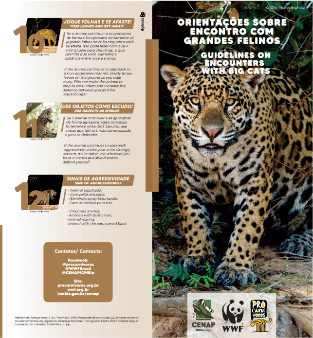 Folder sobre Segurança