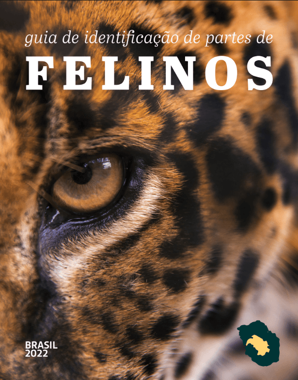 Guia de identificação de felinos