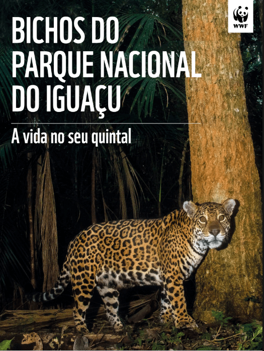 Bichos do Parque Nacional do Iguaçu